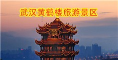 嫩逼网站五码操逼