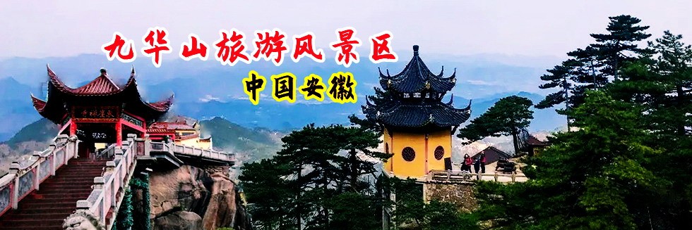 把美女C得翻白眼
