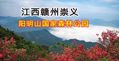 大鸡巴暴操小骚逼视频